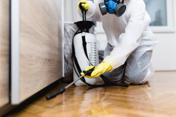 Best Pest Inspection Near Me  in Glens Falls, NY