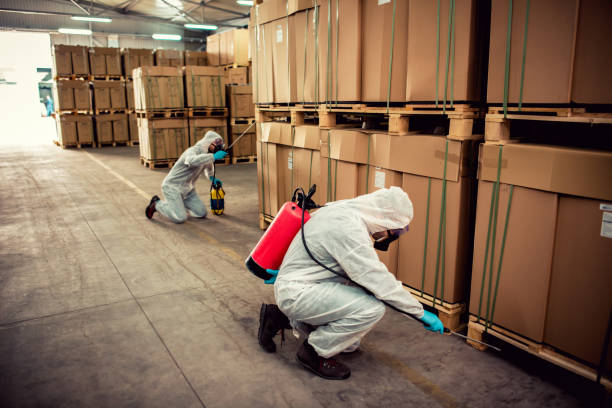 Pest Prevention Services in Glens Falls, NY
