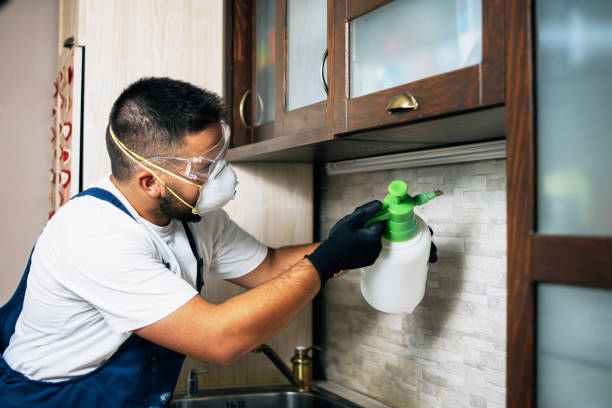Best Pest Control Near Me  in Glens Falls, NY