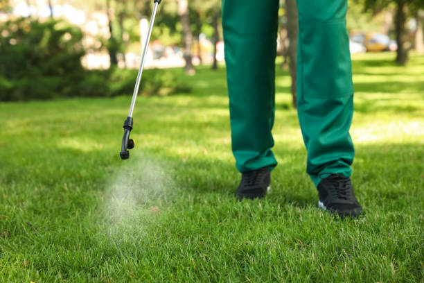 Best Flea Control Services  in Glens Falls, NY