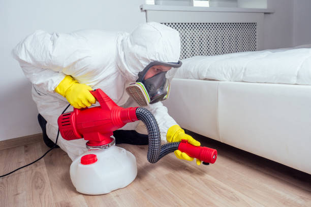 Wildlife Control Services in Glens Falls, NY