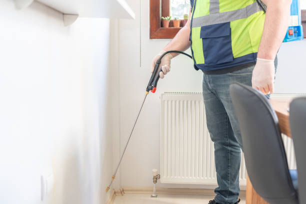 Best Best Pest Control Companies  in Glens Falls, NY