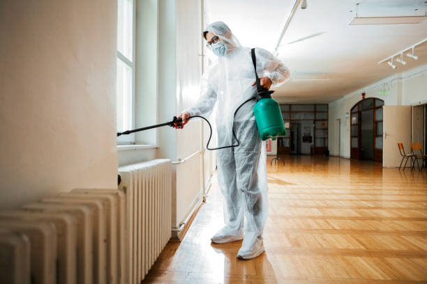 Best Bed Bug Extermination  in Glens Falls, NY