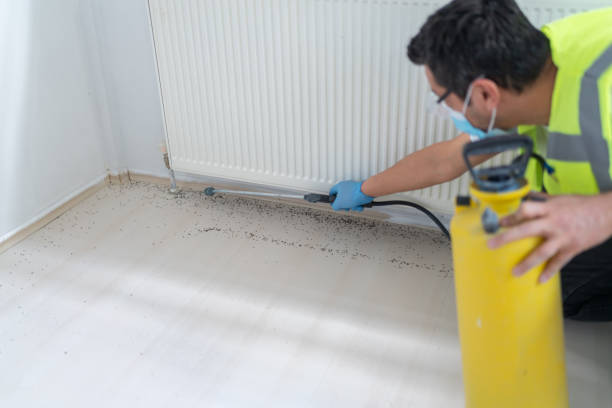 Reliable Glens Falls, NY Pest Control Solutions